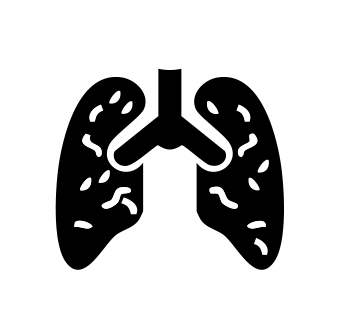 lungs